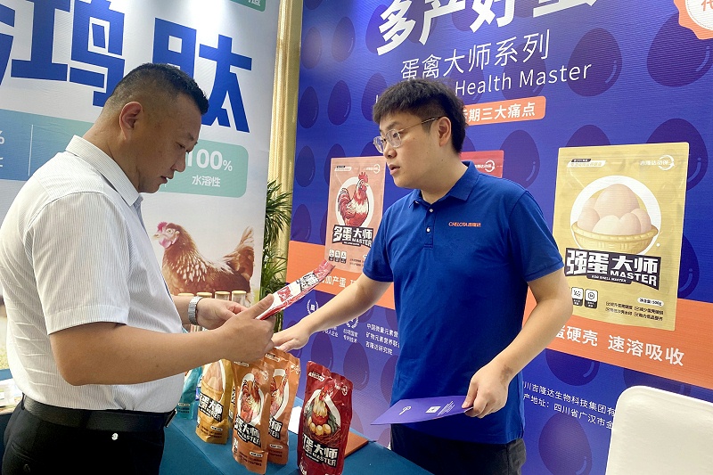 金鸡论坛jxf吉祥坊动保蛋禽大师系列受关注