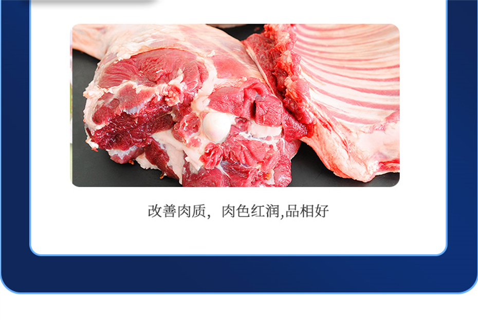 jxf吉祥坊动保羊饲料添加剂肉羊多矿产品介绍