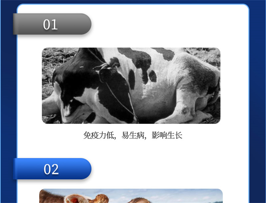 jxf吉祥坊动保牛羊饲料添加剂健立血牛羊产品介绍