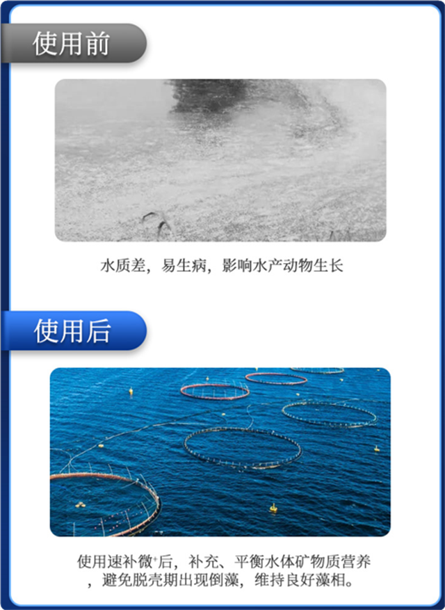 jxf吉祥坊有机微量元素速补微+对虾补钙效果