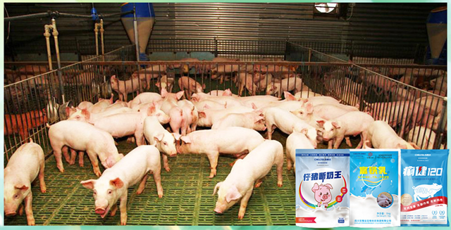 jxf吉祥坊动保饲料添加剂