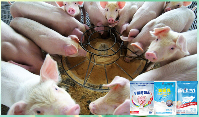 jxf吉祥坊动保饲料添加剂