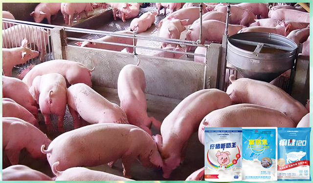 jxf吉祥坊动保饲料添加剂