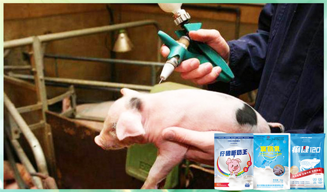 jxf吉祥坊动保饲料添加剂