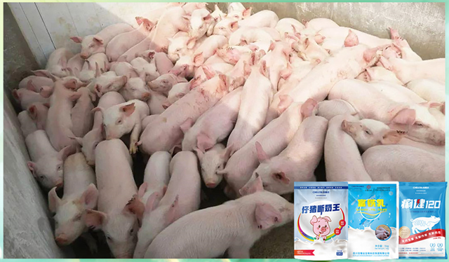 jxf吉祥坊动保饲料添加剂