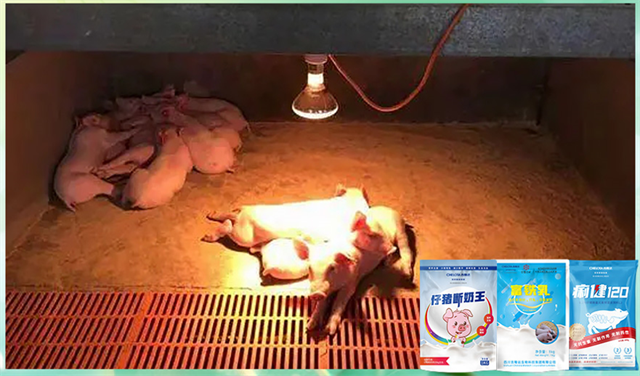 jxf吉祥坊动保饲料添加剂