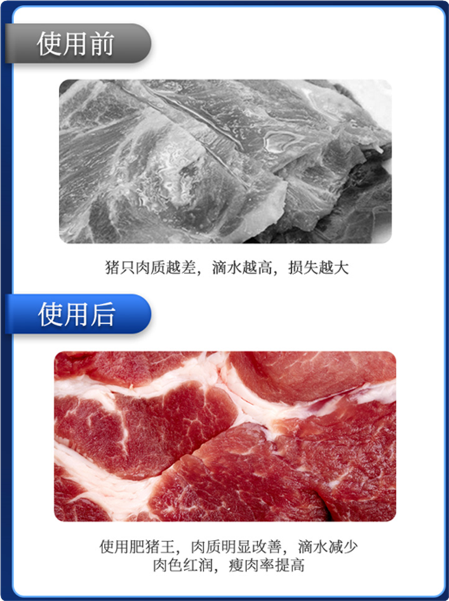jxf吉祥坊-肥猪王使用效果