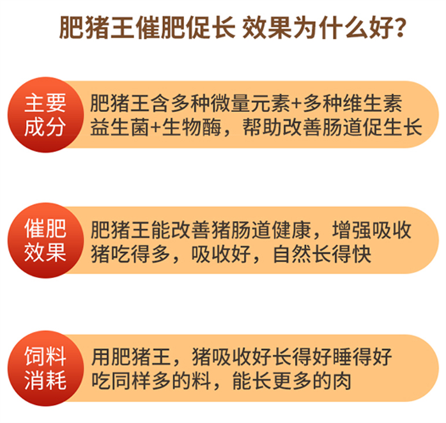jxf吉祥坊-肥猪王使用效果为什么好