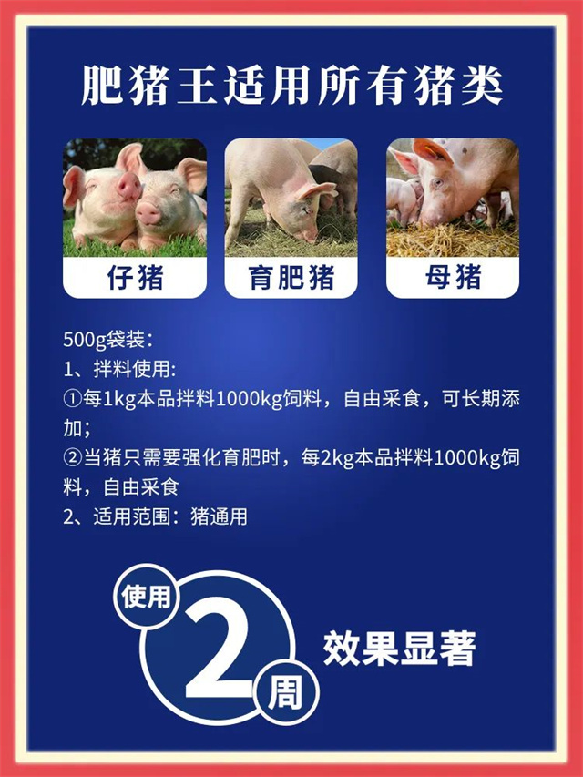 jxf吉祥坊-肥猪王用法