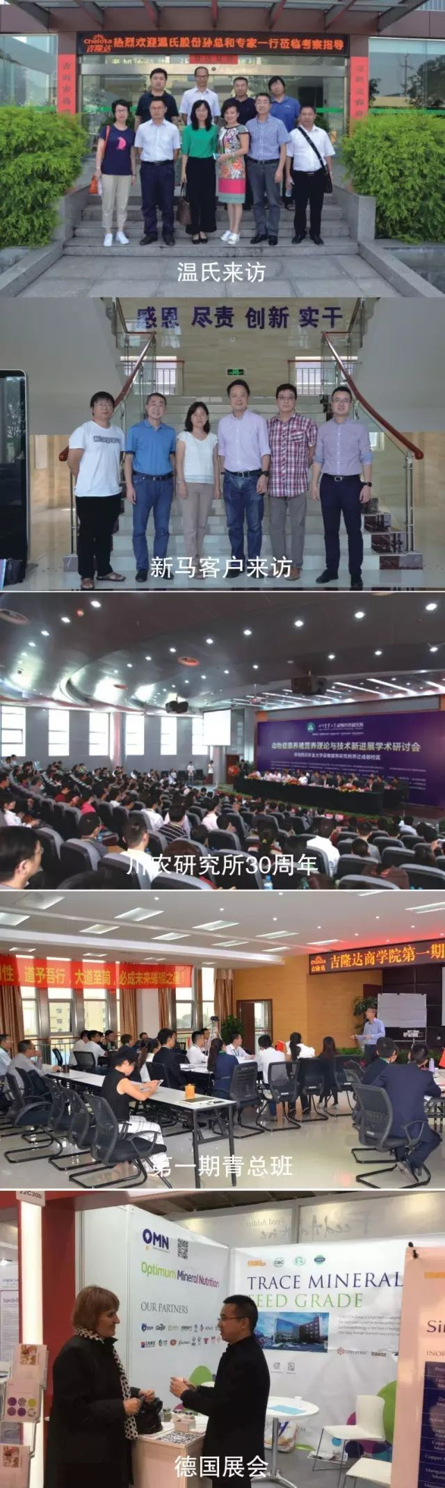 有机微量厂家jxf吉祥坊2016大事记