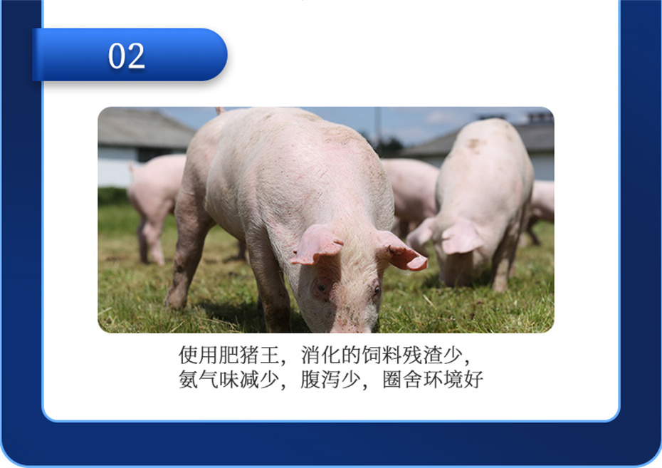 jxf吉祥坊动保猪饲料添加剂肥猪王产品介绍