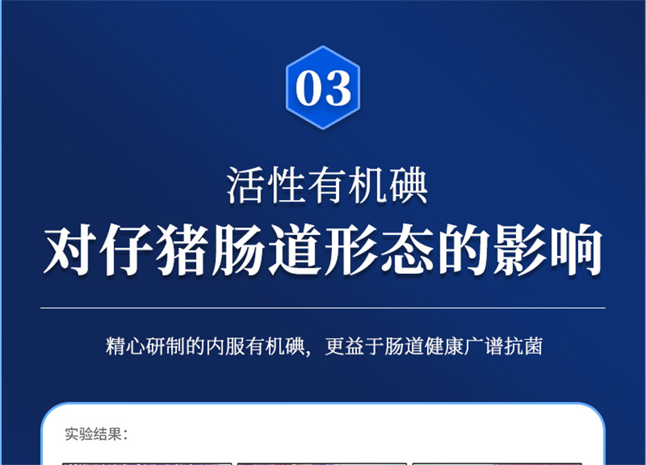 jxf吉祥坊动保猪饲料添加剂痢健120产品介绍