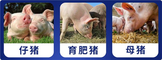 jxf吉祥坊猪饲料添加剂