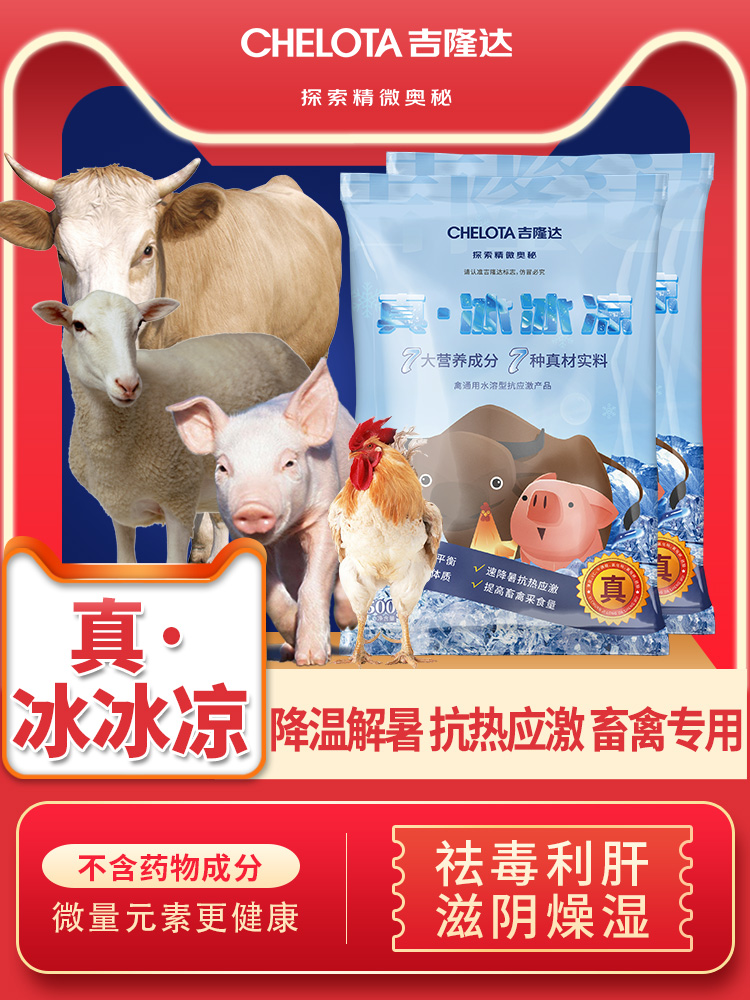 jxf吉祥坊真·冰冰凉