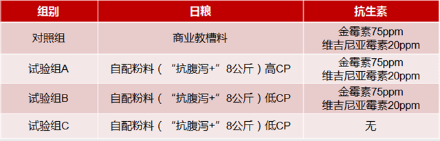 jxf吉祥坊乳仔猪抗腹泻方案试验