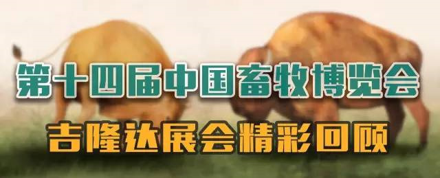 jxf吉祥坊参展中国畜牧博览会