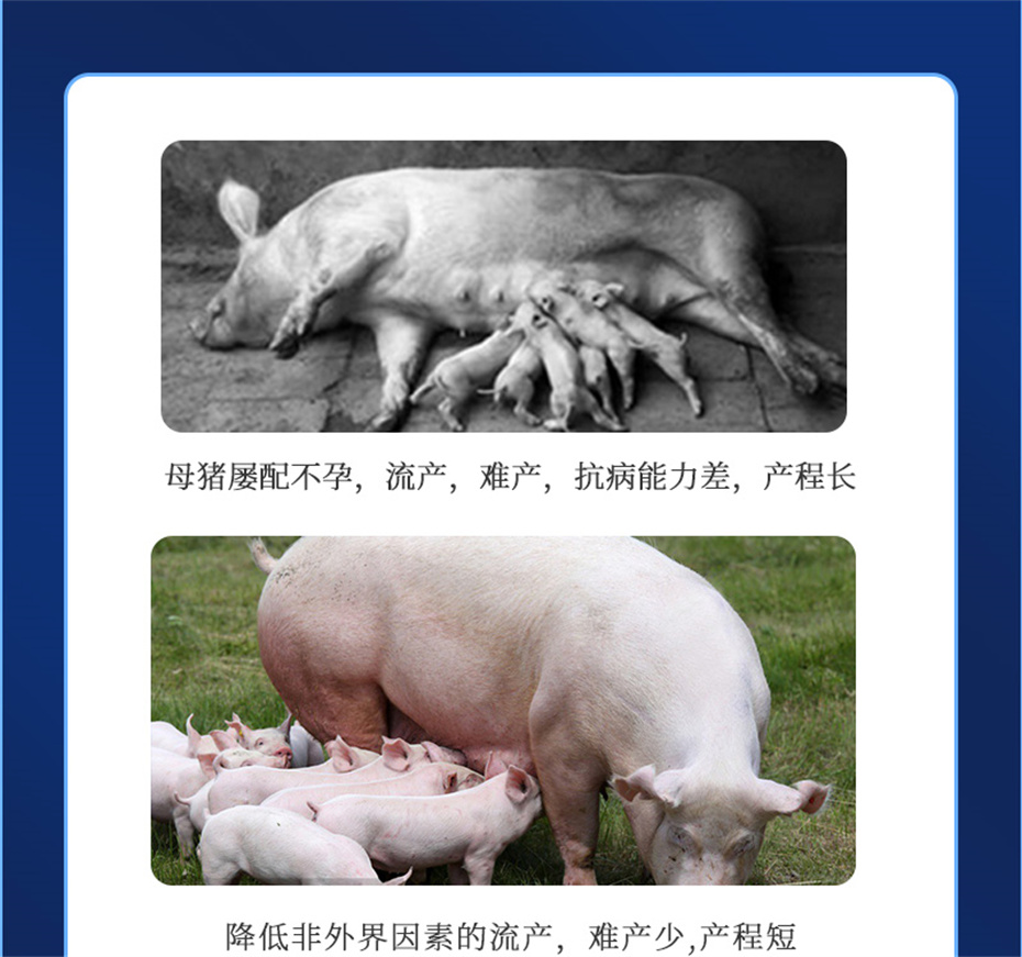 jxf吉祥坊动保猪饲料添加剂健立血产品介绍