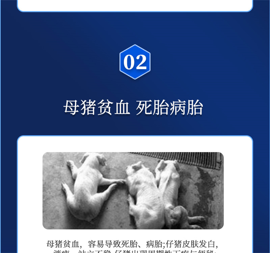 jxf吉祥坊动保猪饲料添加剂健立血产品介绍