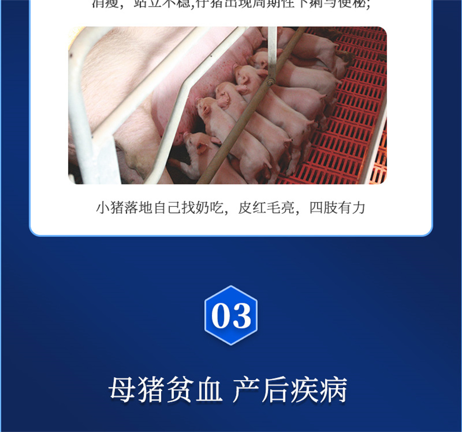 jxf吉祥坊动保猪饲料添加剂健立血产品介绍