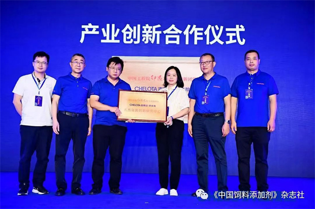 jxf吉祥坊研究院启动仪式