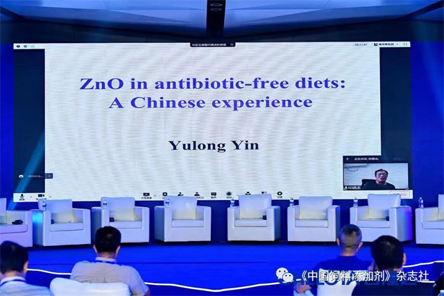 jxf吉祥坊研究院启动仪式