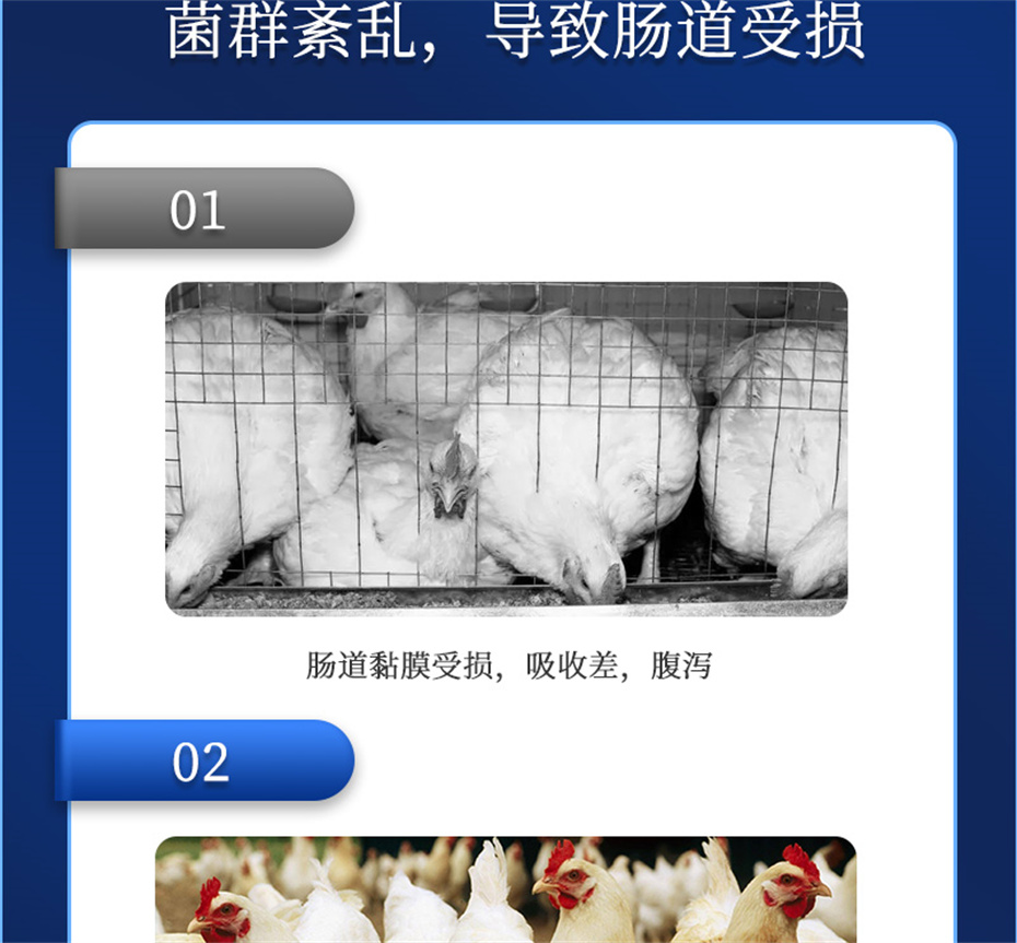 jxf吉祥坊动保饲料添加剂吉生元产品介绍