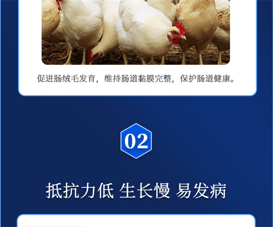 jxf吉祥坊动保饲料添加剂吉生元产品介绍