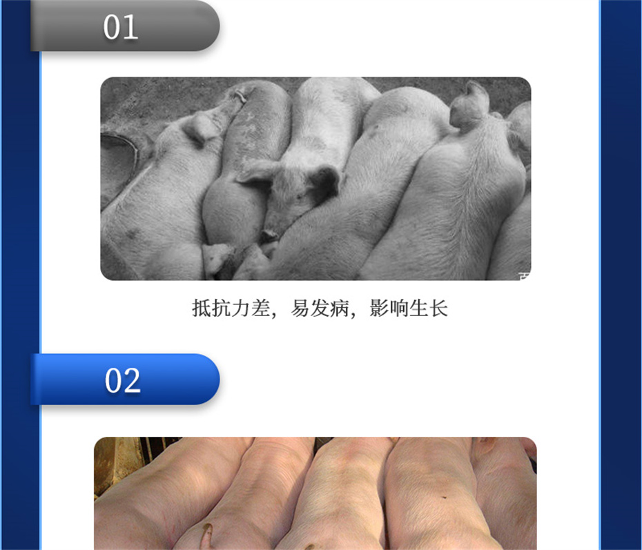 jxf吉祥坊动保饲料添加剂吉生元产品介绍