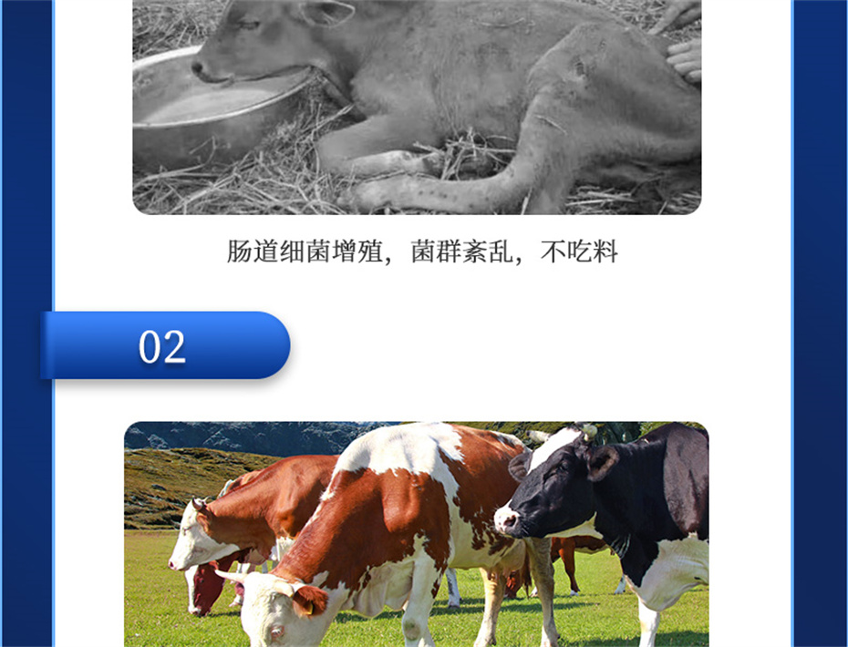 jxf吉祥坊动保饲料添加剂排毒增免肽产品介绍