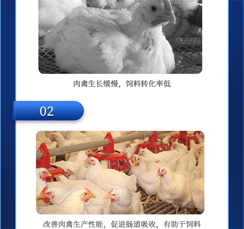 jxf吉祥坊动保禽饲料添加剂禽肽重产品介绍