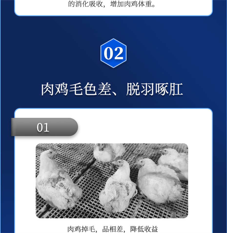 jxf吉祥坊动保禽饲料添加剂禽肽重产品介绍