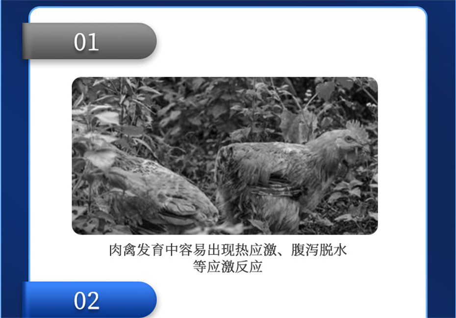 jxf吉祥坊动保禽饲料添加剂禽肽重产品介绍