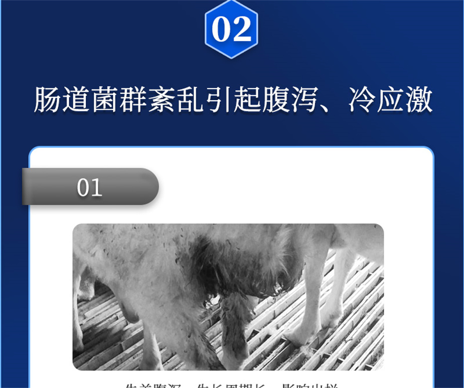 jxf吉祥坊动保牛羊饲料添加剂胃兴plus产品介绍
