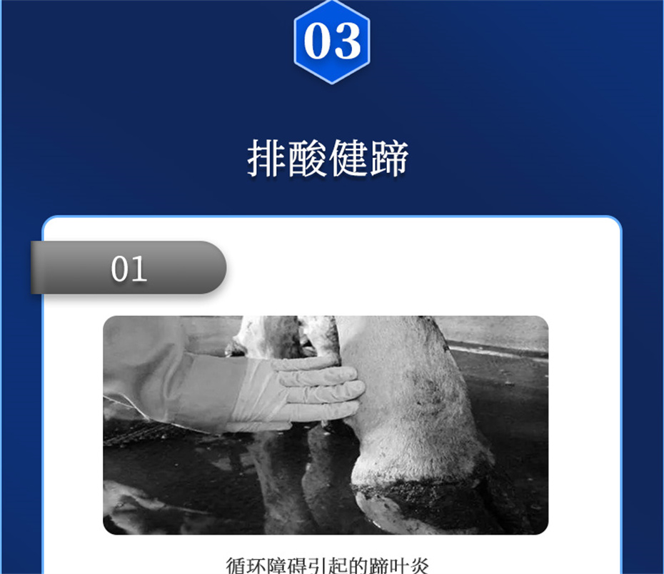 jxf吉祥坊动保牛羊饲料添加剂胃兴plus产品介绍