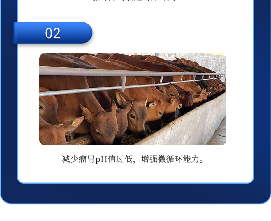 jxf吉祥坊动保牛羊饲料添加剂胃兴plus产品介绍