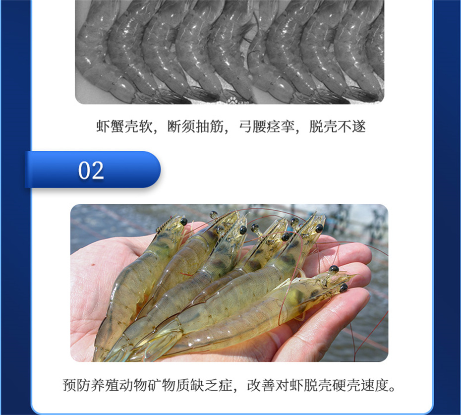 jxf吉祥坊动保水产饲料添加剂速补微s+产品介绍