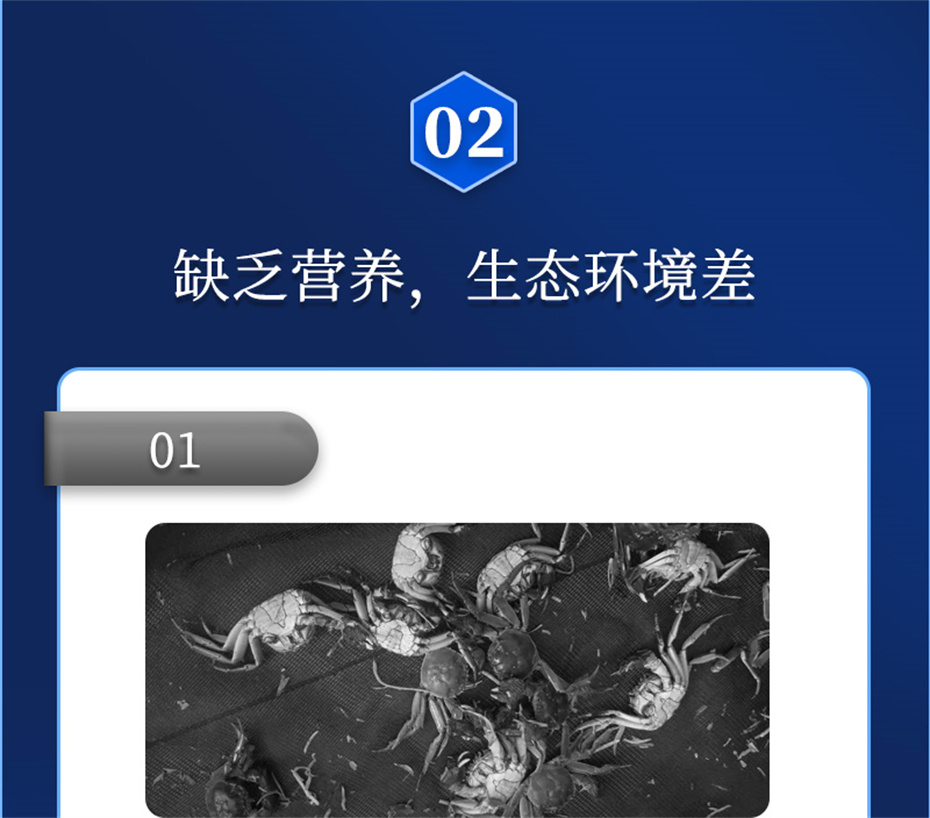jxf吉祥坊动保水产饲料添加剂速补微s+产品介绍
