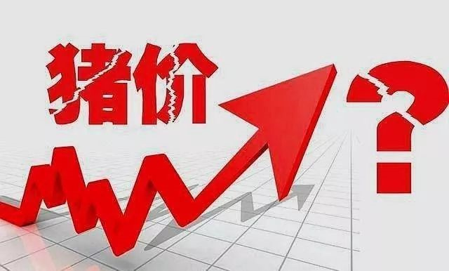 jxf吉祥坊